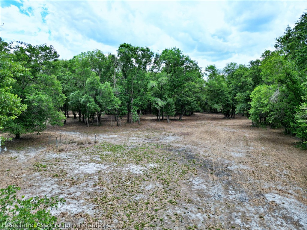 2032 Gilliard Farm Road Wauchula, FL 33873 - Photo 2 of 13
