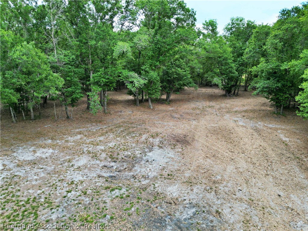 2032 Gilliard Farm Road Wauchula, FL 33873 - Photo 3 of 13