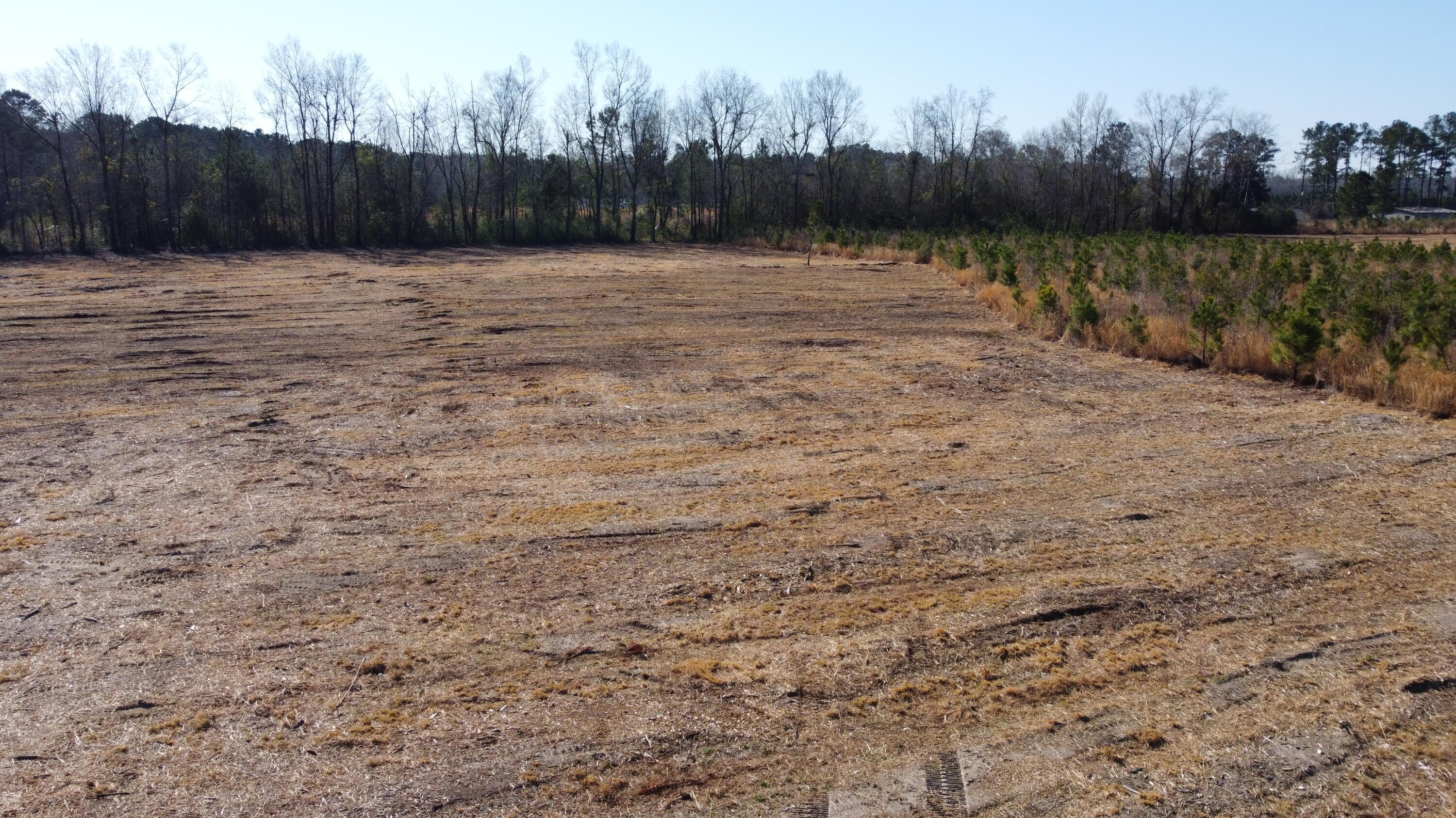 8 Highway 6 Cross, SC 29436 - Photo 3 of 9 DJI_0167