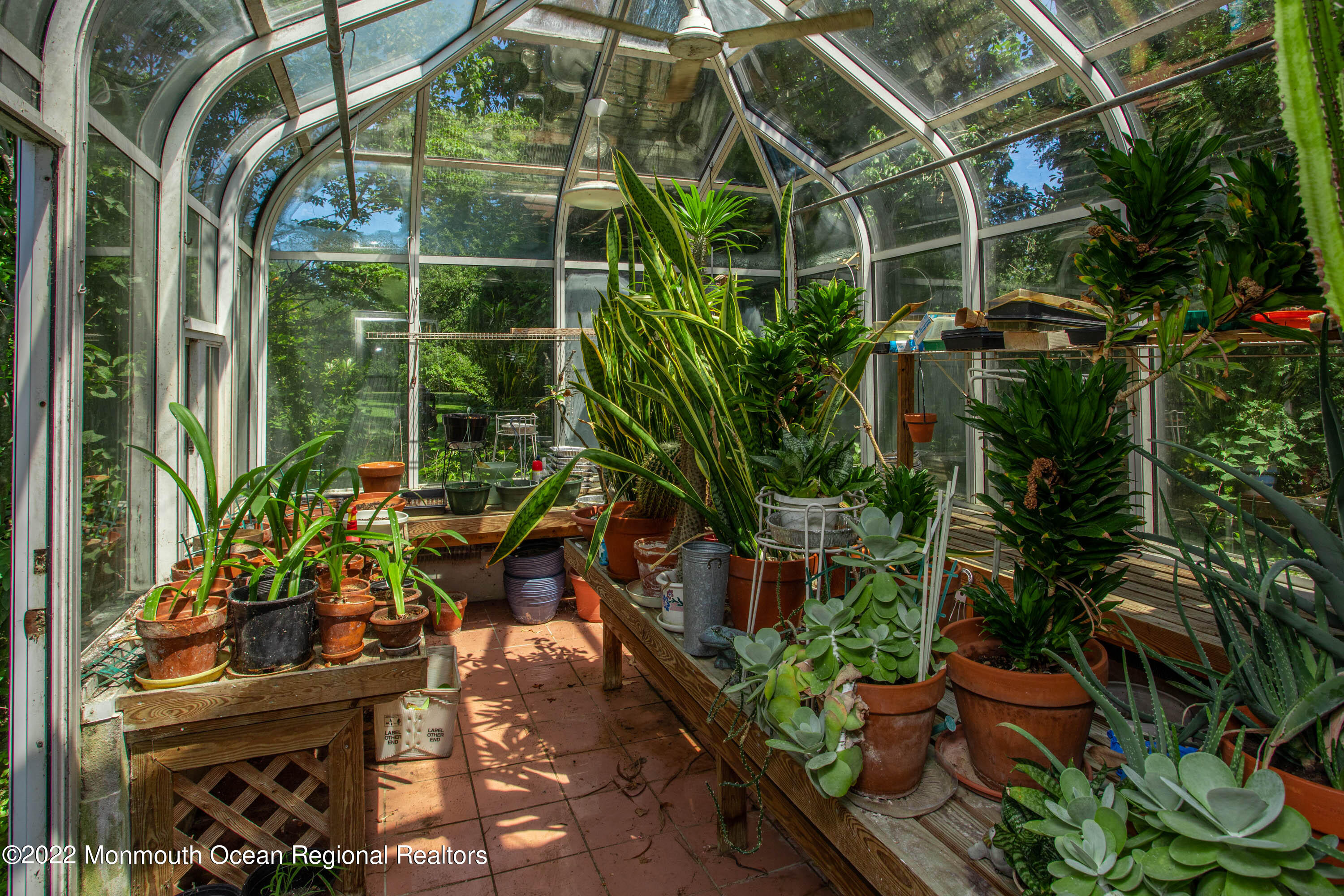 1903 Shadowbrook Drive Wall, NJ 07719 - Photo 55 of 74 a plant that is in front of a brick building
