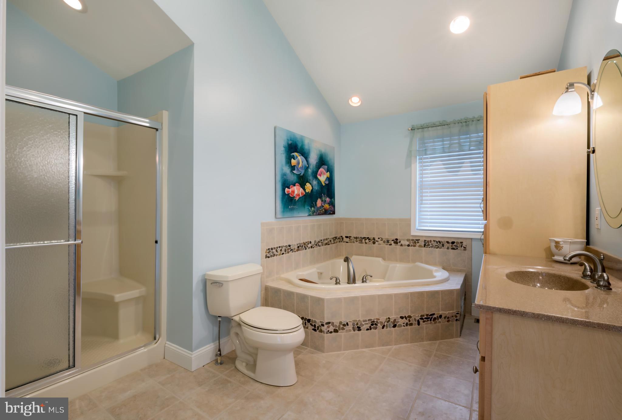 1702 Oldtown Road Edgewater, MD 21037 - Photo 23 of 30 Bath (Master)