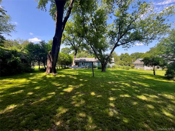 a view of a trees with a yard