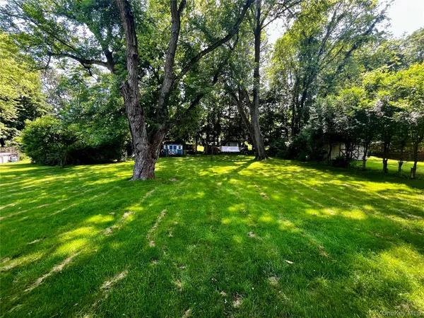 a view of a park with a tree