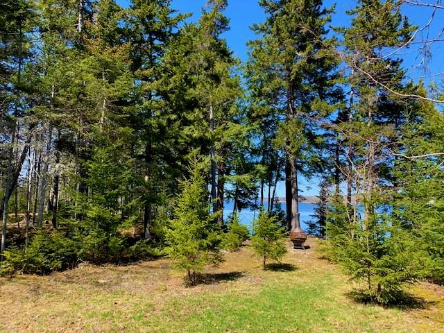 77 Wilson Point Road Castine, ME 04421 - Photo 8 of 83 77WPR1