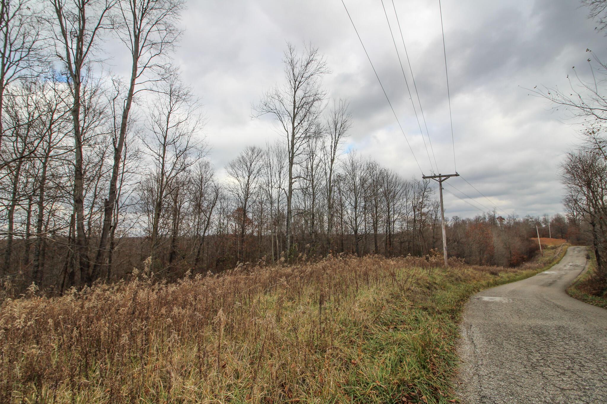 0 Virginia Ridge Road Philo, OH 43771 - Photo 2 of 29 IMG_7590