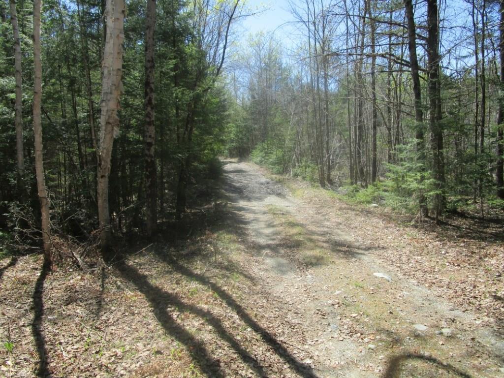M1-l29-2 Basford Road Detroit, ME 04929 - Photo 2 of 13 Wooded lot with the road