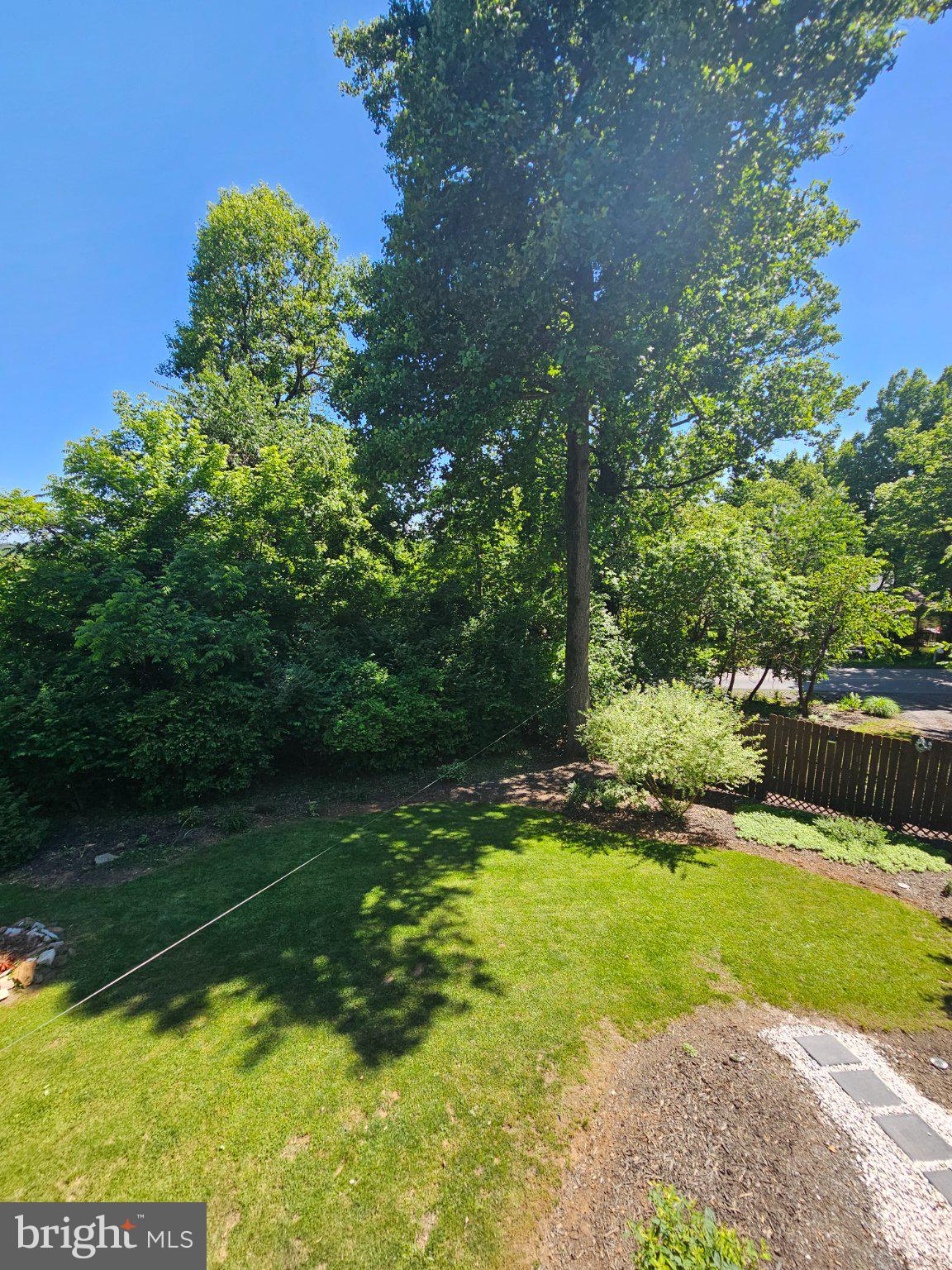 32 Parnassus Road Linden, VA 22642 - Photo 50 of 50 Lush greenery in a tranquil backyard.