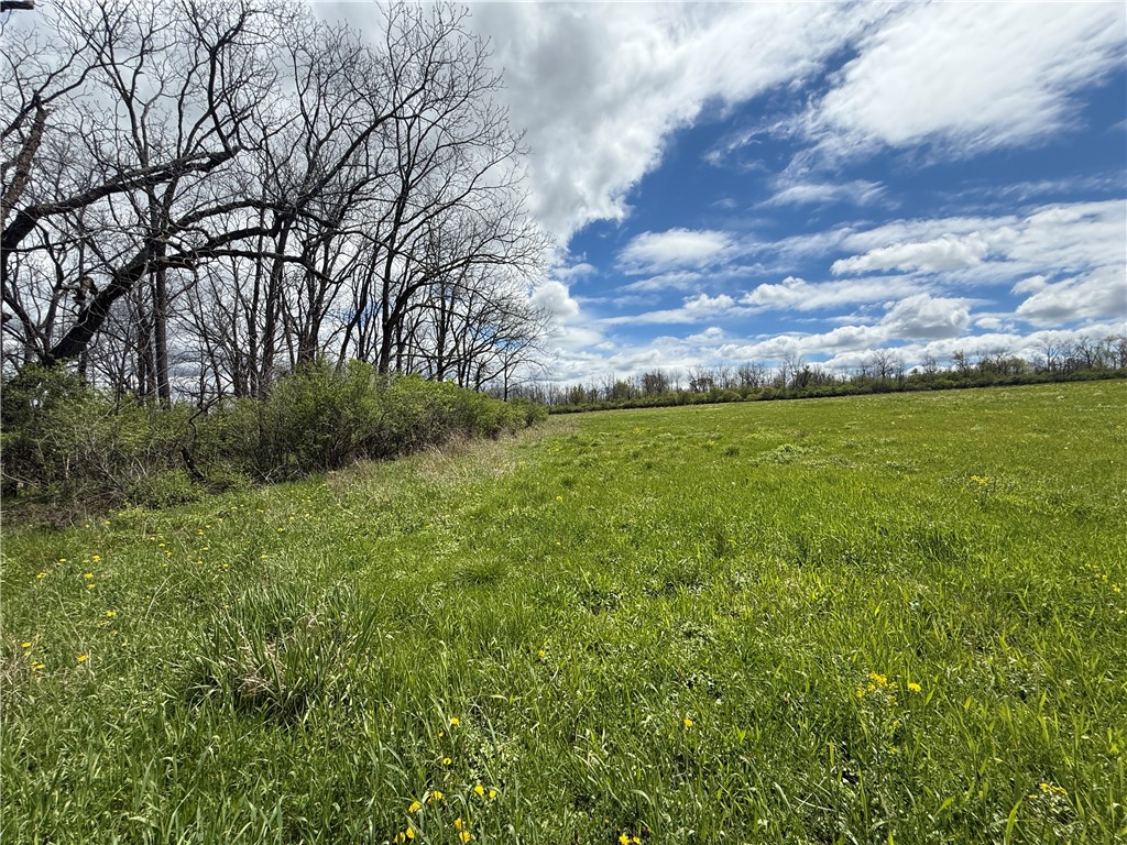 Tucker Road Ithaca, NY 14850 - Photo 6 of 38 Gallery Image 6