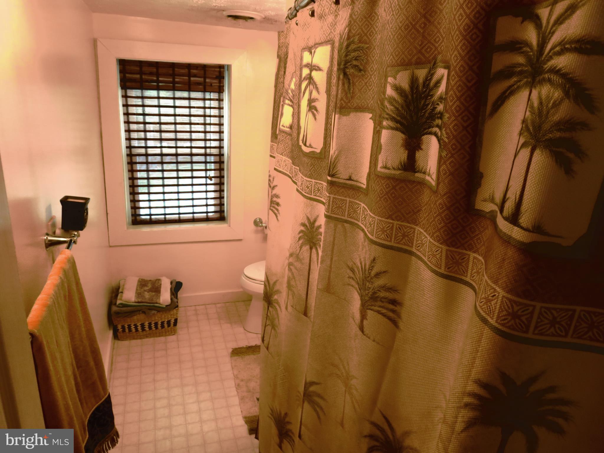 4166 Middleburg Road Union Bridge, MD 21791 - Photo 18 of 29 a bathroom with a shower