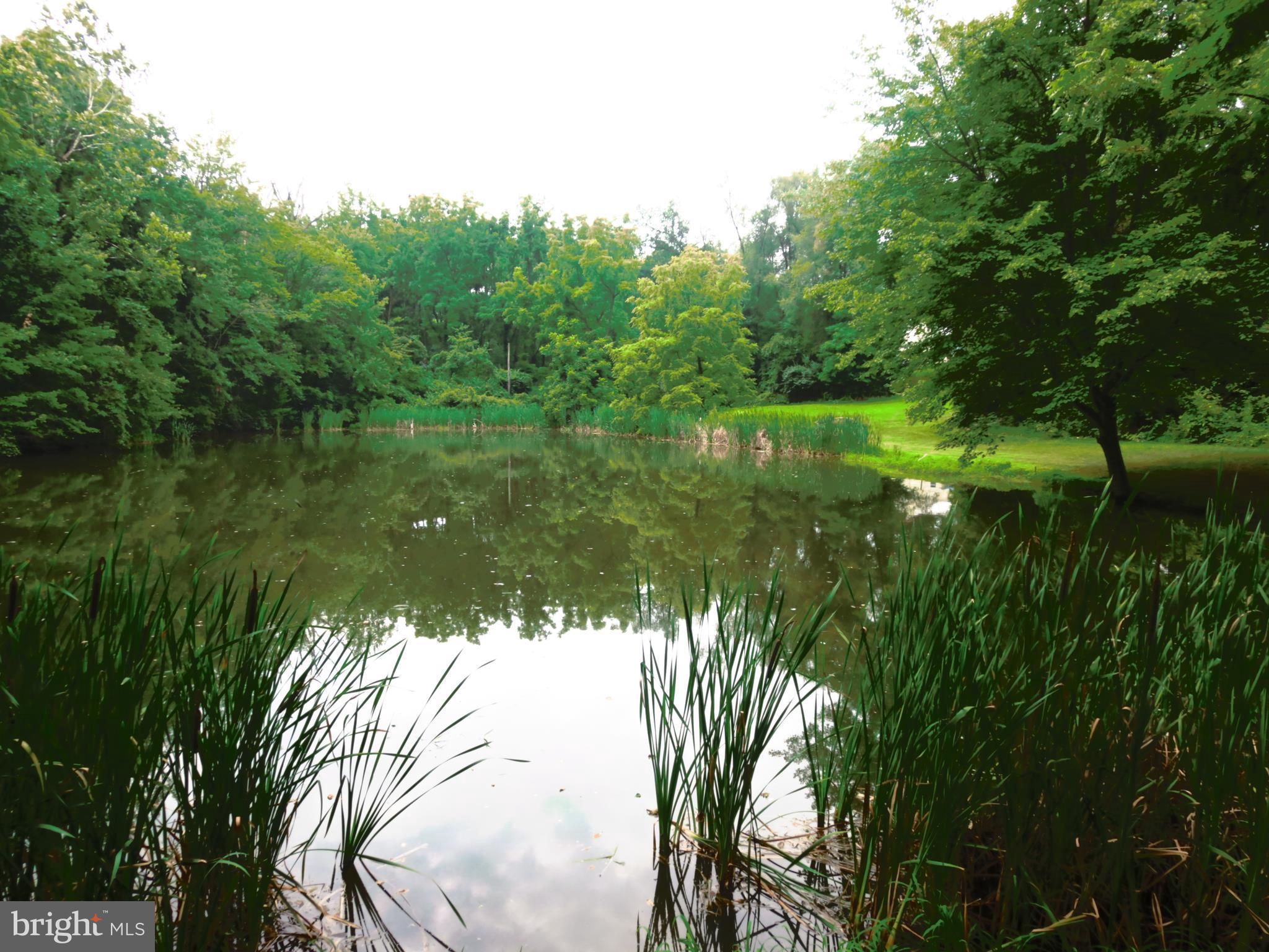 4166 Middleburg Road Union Bridge, MD 21791 - Photo 20 of 29 a view of a lake with a yard