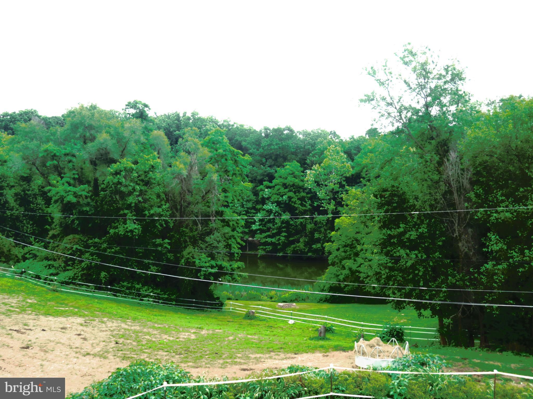 4166 Middleburg Road Union Bridge, MD 21791 - Photo 25 of 29 a view of a park with large trees
