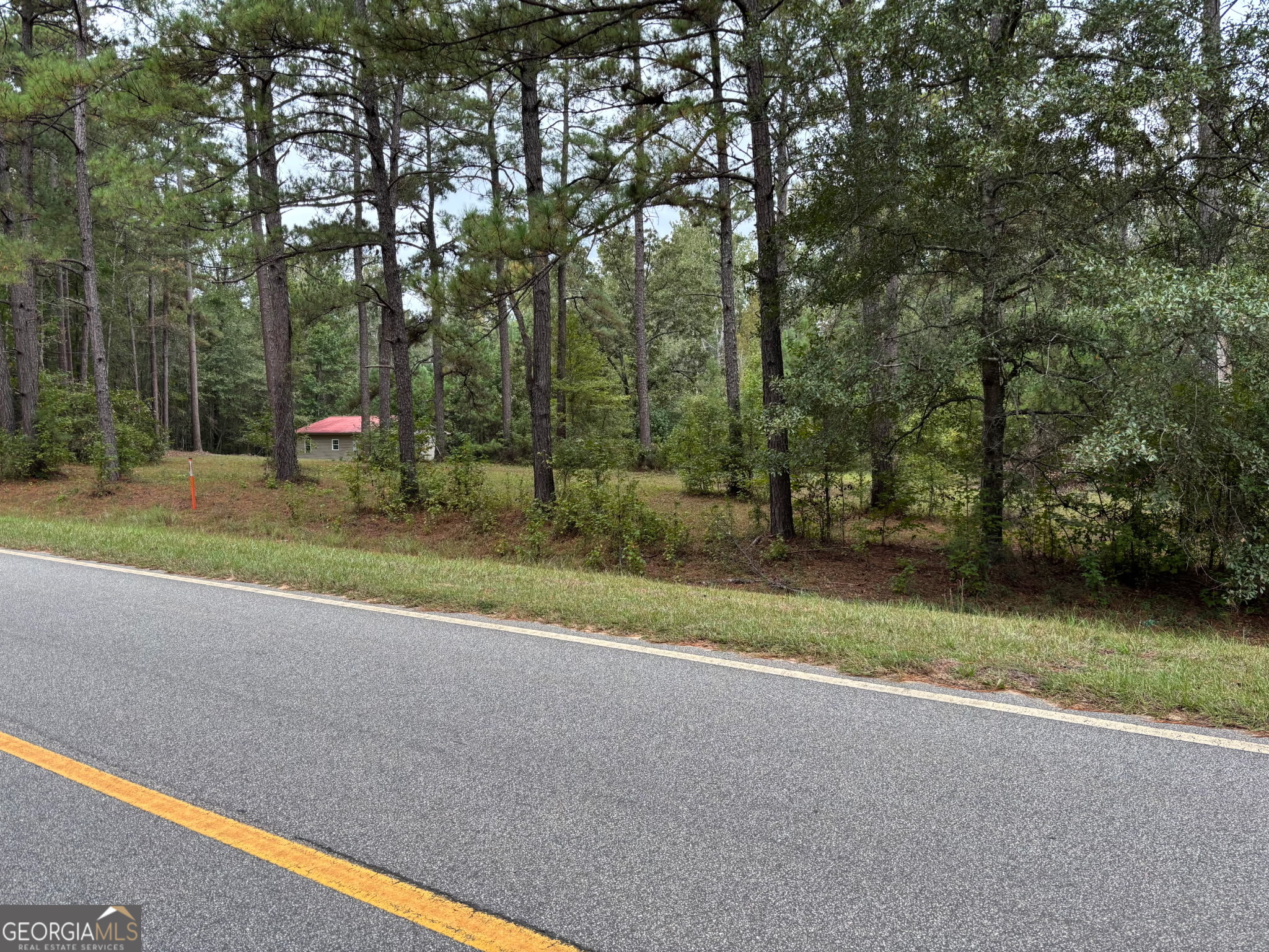 0 Buttermilk Road Millen, GA 30442 - Photo 5 of 5