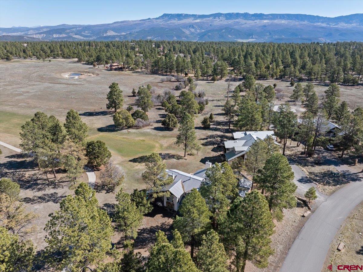 51 Red Fox Lane, Unit B Ridgway, CO 81432 - Photo 31 of 32