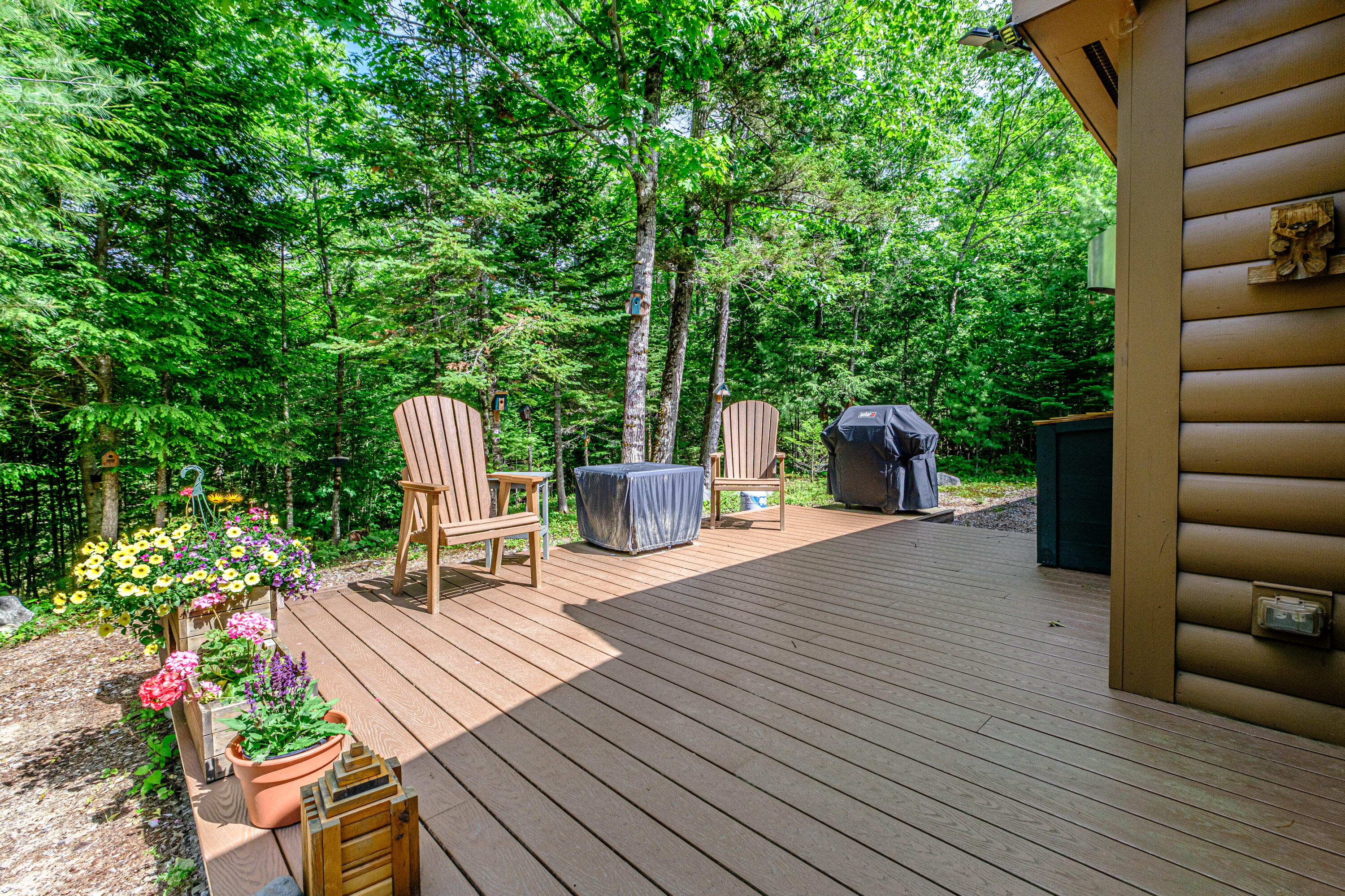 27 Merrifield Circle Sebago, ME 04029 - Photo 11 of 50 20260619gp-64018