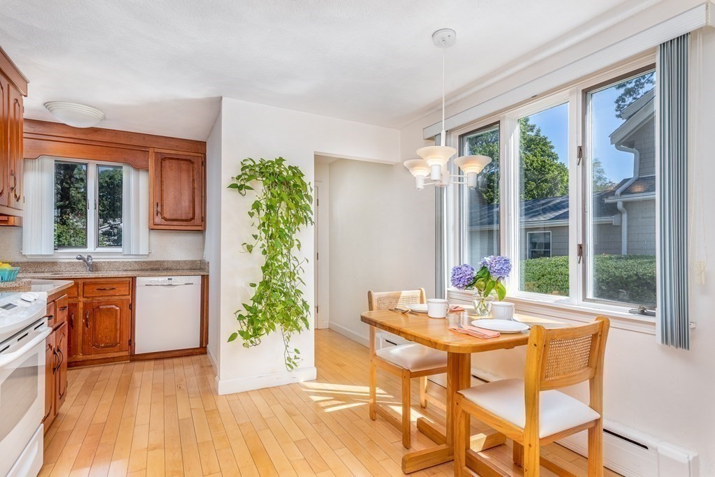 7 Arbutus Road Swampscott, MA 01907 - Photo 15 of 29 Gallery Image 15