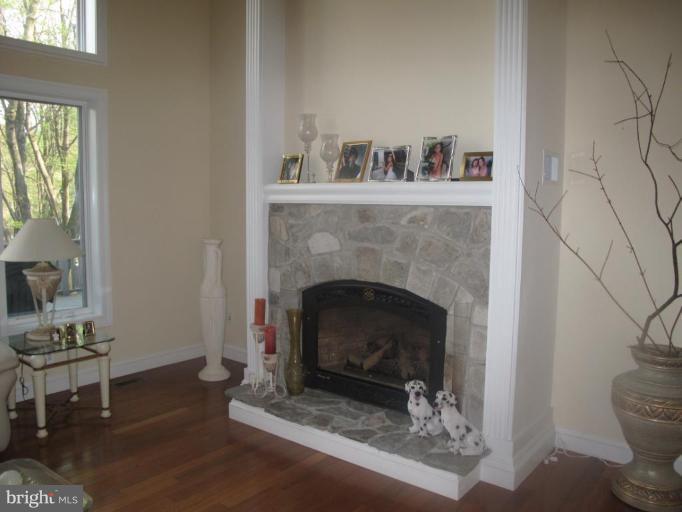 3701 Hummer Road Annandale, VA 22003 - Photo 6 of 15 Fireplace