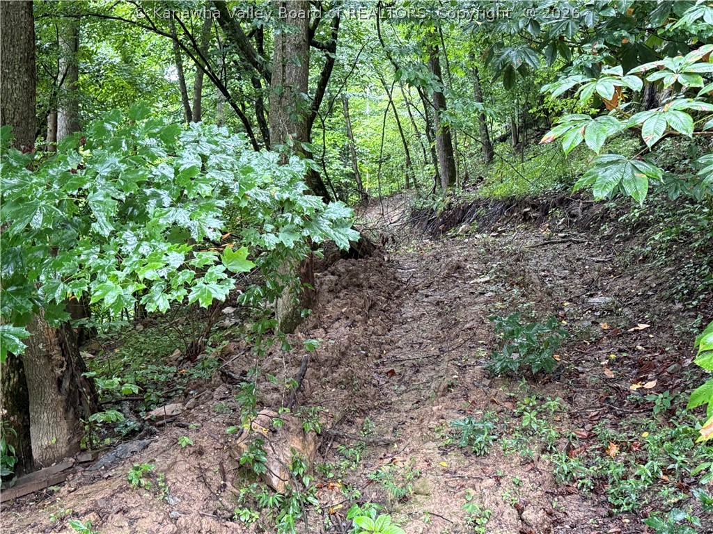Tbd Upper Mud River Road Alkol, WV 25501 - Photo 10 of 27 Gallery Image 10