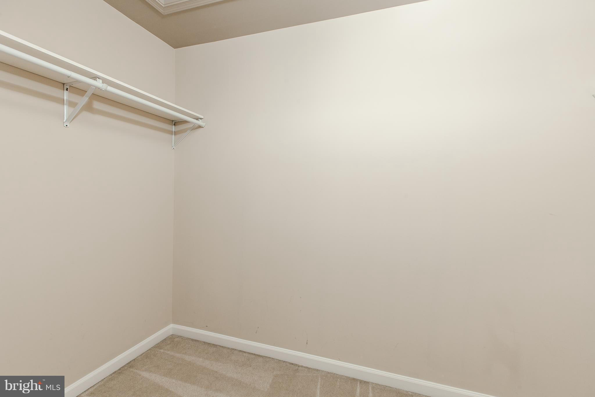 111 Eagles Ridge Smithsburg, MD 21783 - Photo 26 of 30 Master WalkInCloset