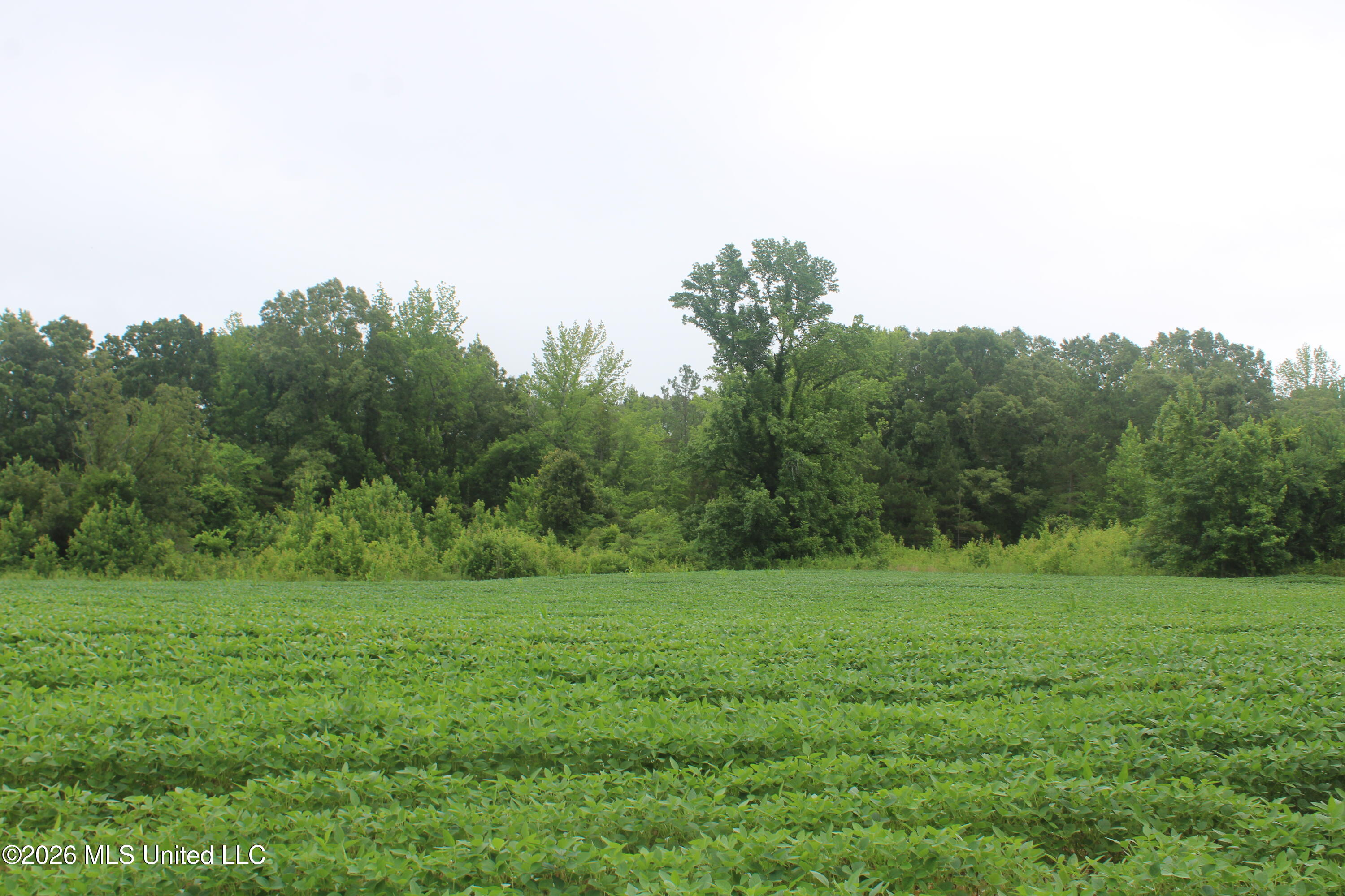 1500 Allen Corner Road Lamar, MS 38642 - Photo 11 of 17 IMG_7979