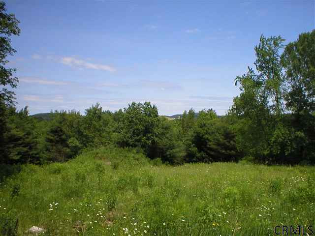 449 County Rte 49 Salem, NY 12865 - Photo 3 of 7 Photo 3