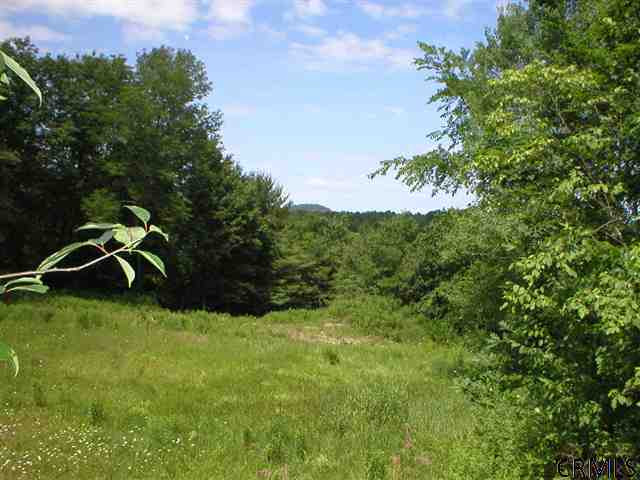 449 County Rte 49 Salem, NY 12865 - Photo 6 of 7 Photo 6