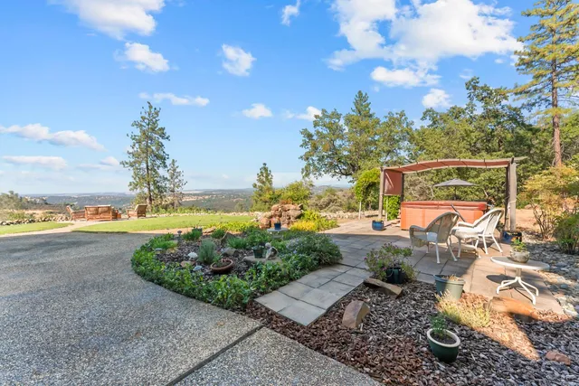 a view of a yard with plants and large trees
