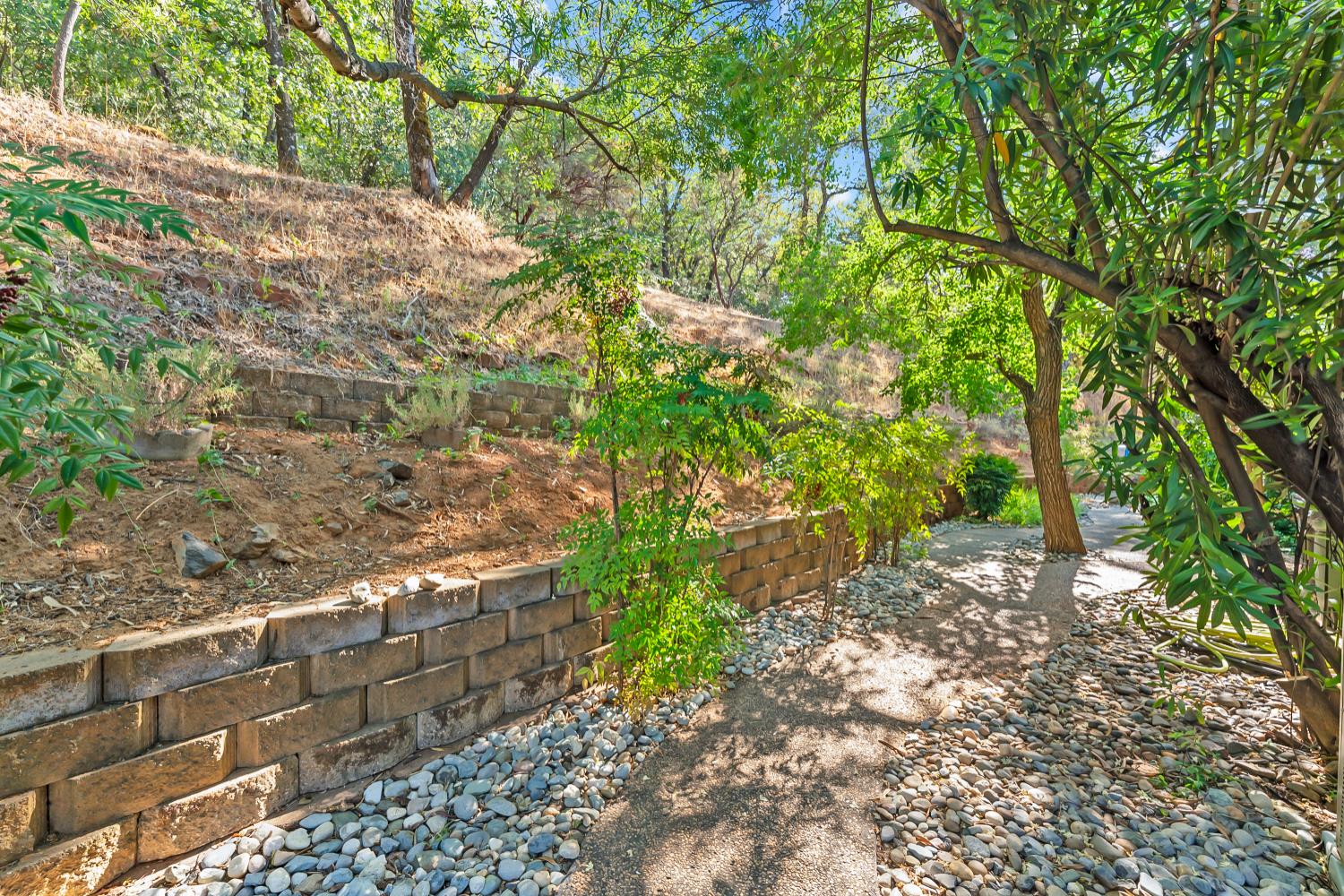 3472 See View Court Rescue, CA 95672 - Photo 42 of 56 a backyard of a house with lots of green space