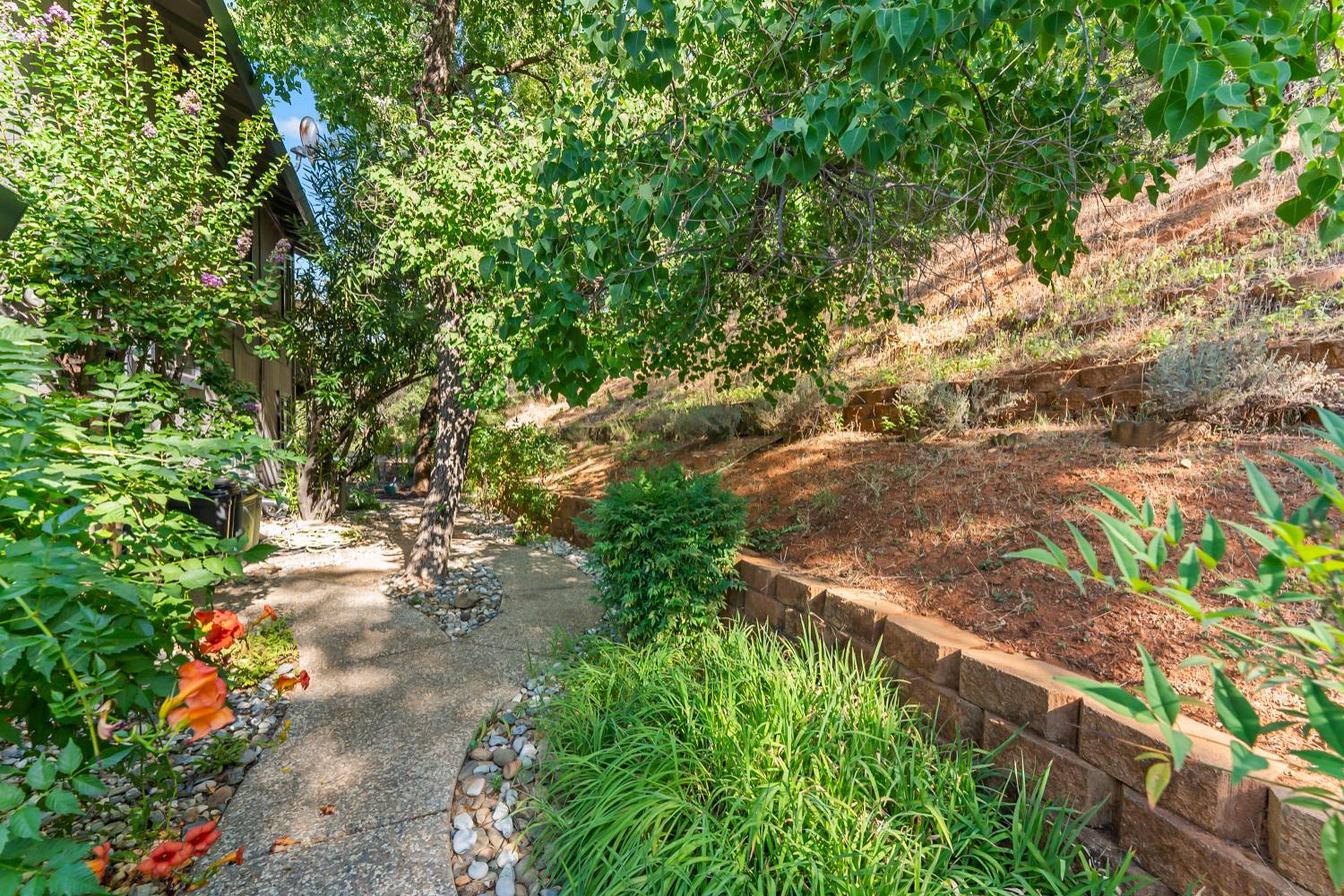 3472 See View Court Rescue, CA 95672 - Photo 43 of 56 a view of a yard with plants and large trees