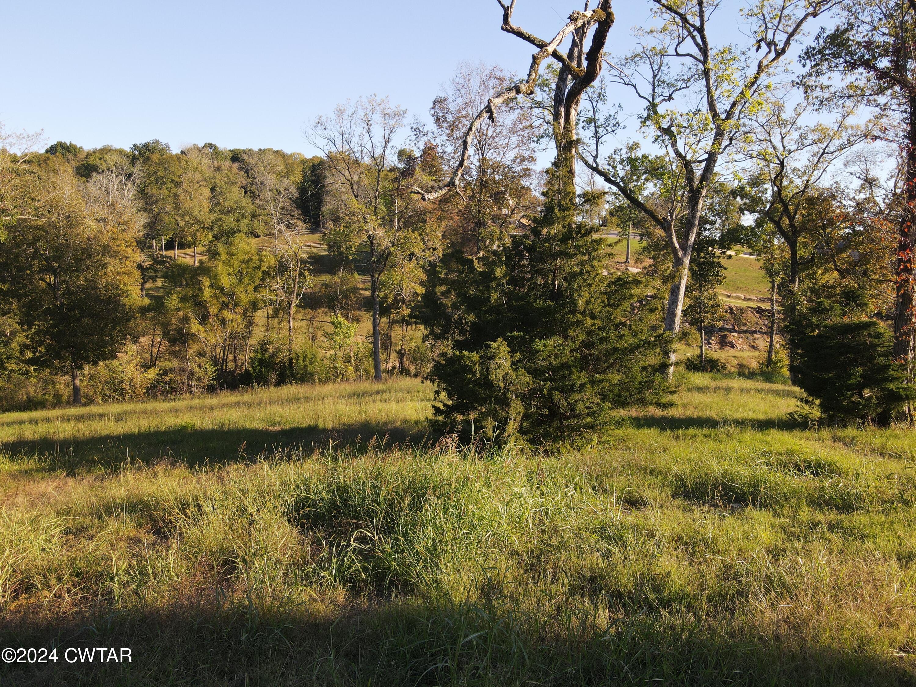 0 Lot 11 Rivers Edge Circle Bath Springs, TN 38311 - Photo 5 of 10 a view of swimming pool and mountain
