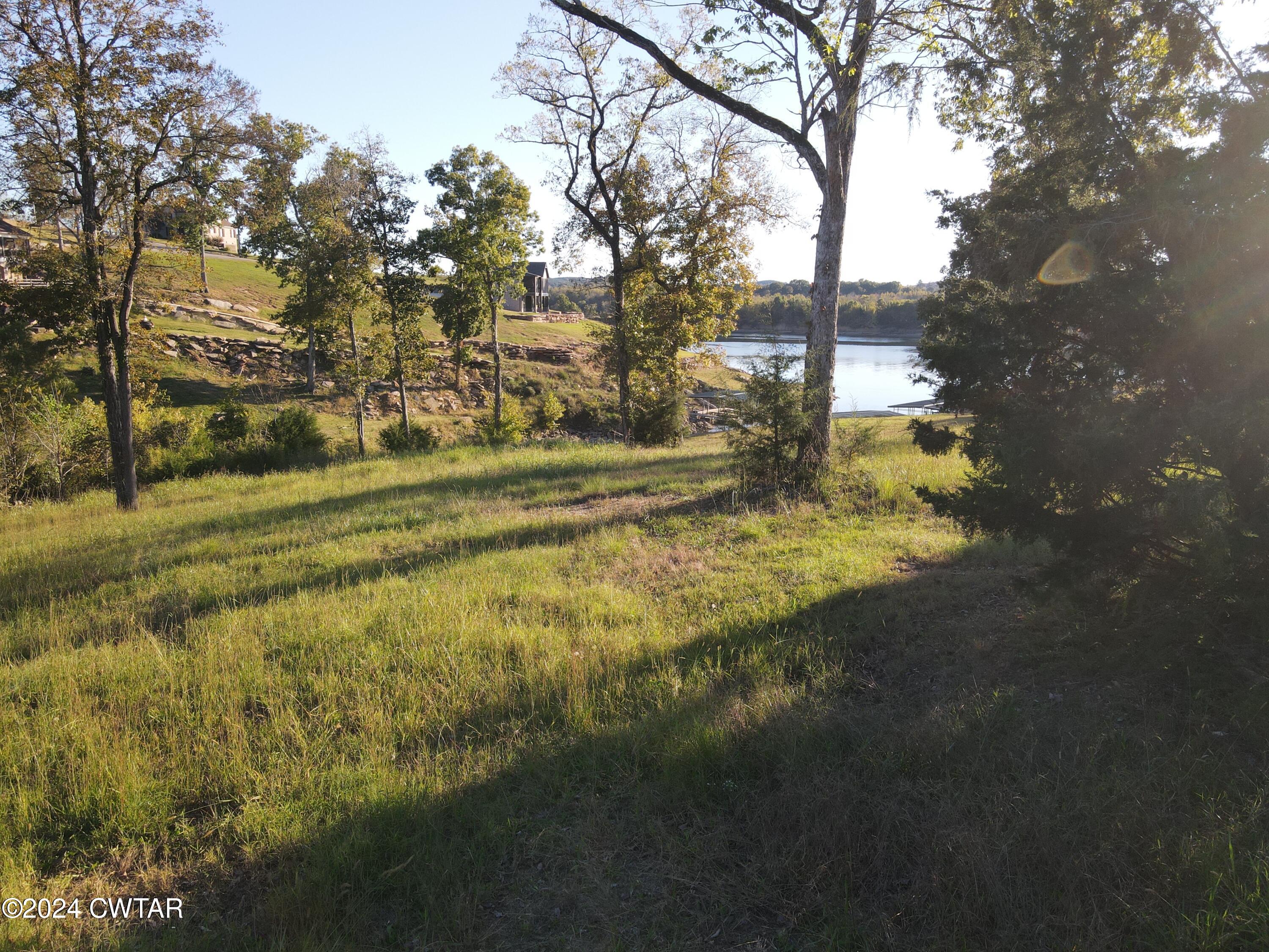 0 Lot 11 Rivers Edge Circle Bath Springs, TN 38311 - Photo 6 of 10 a view of yard with tree in the background