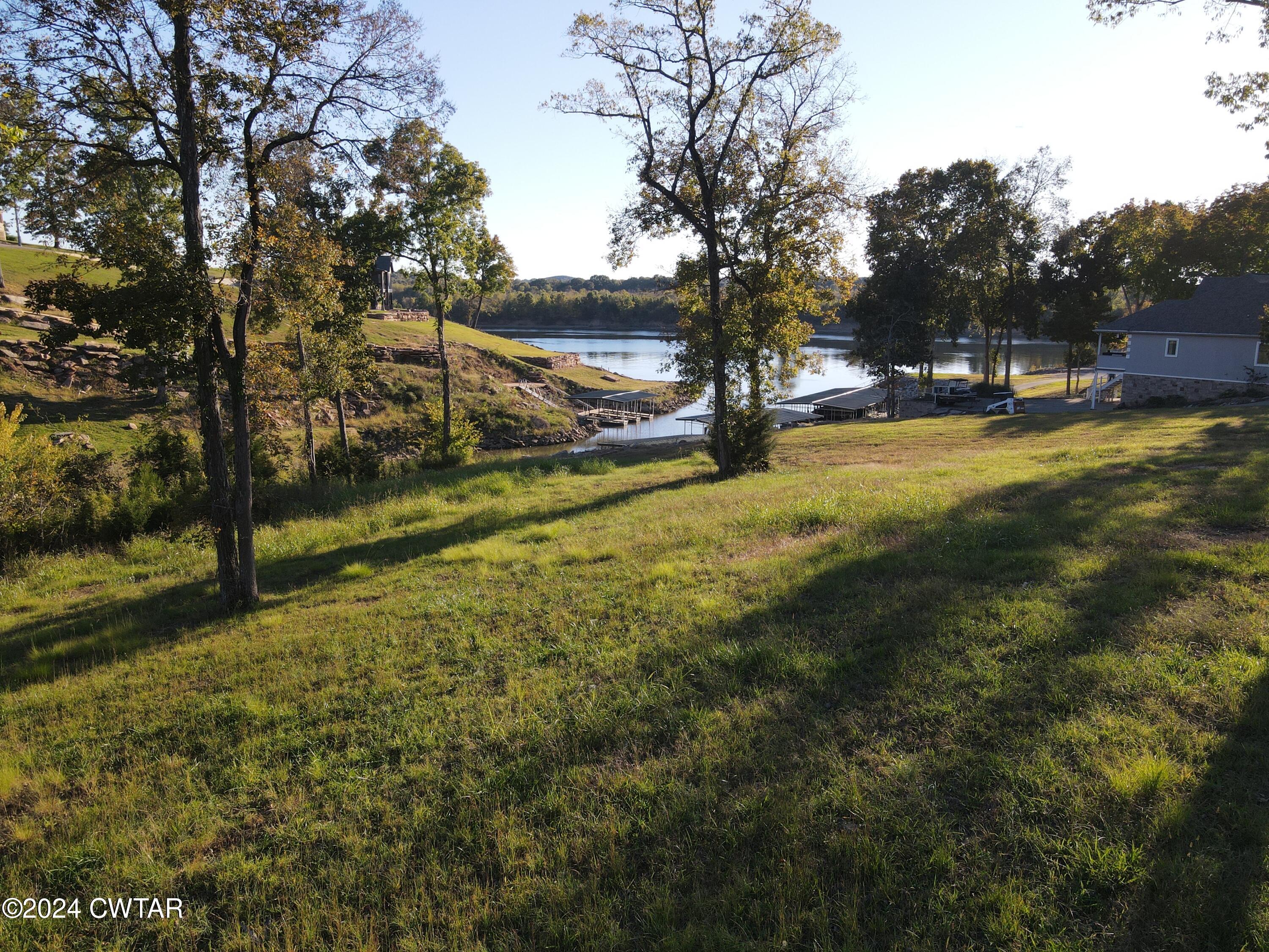 0 Lot 11 Rivers Edge Circle Bath Springs, TN 38311 - Photo 7 of 10 a view of yard with tree
