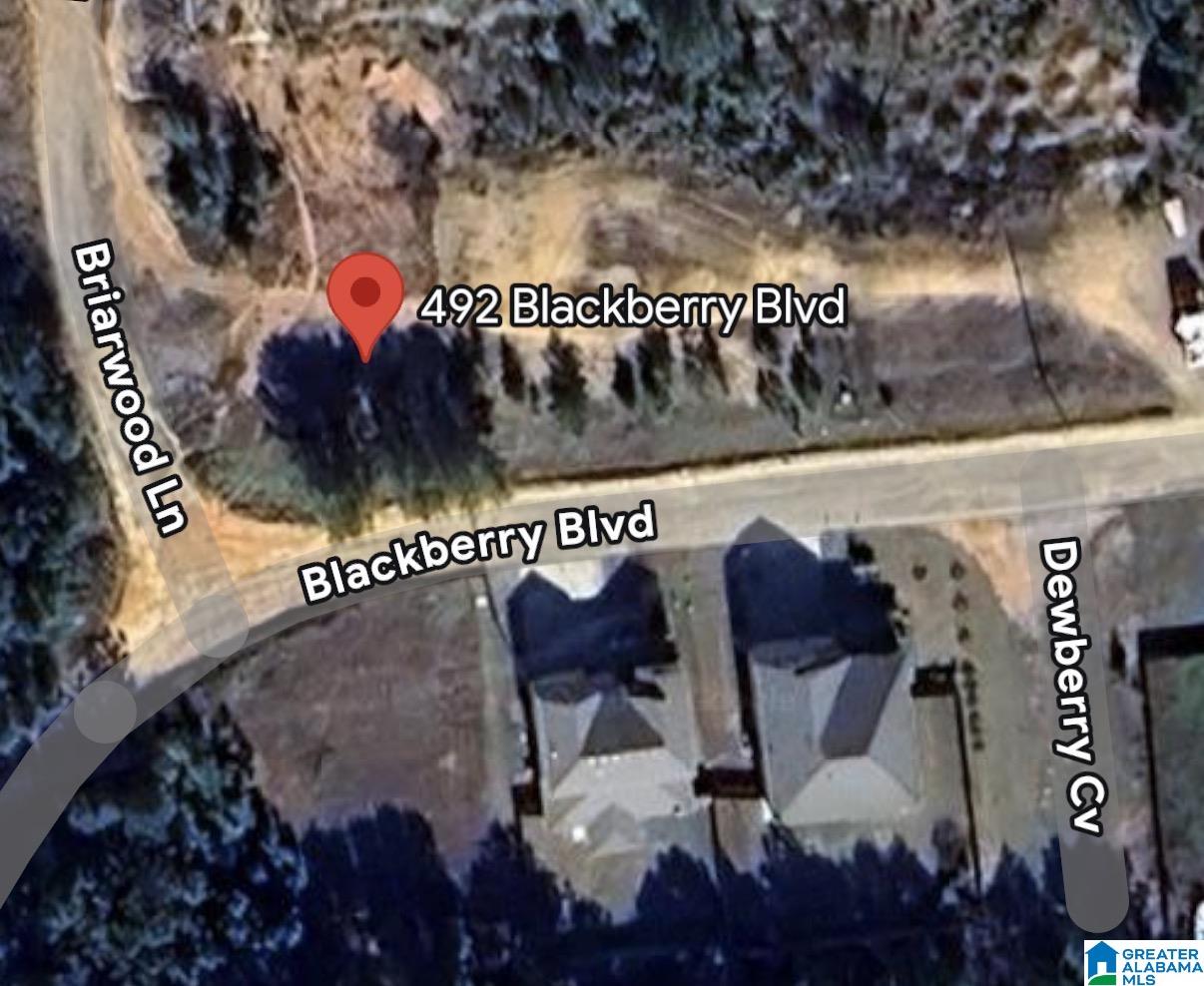 492 Blackberry Boulevard, Unit 515 Springville, AL 35146 - Photo 1 of 1