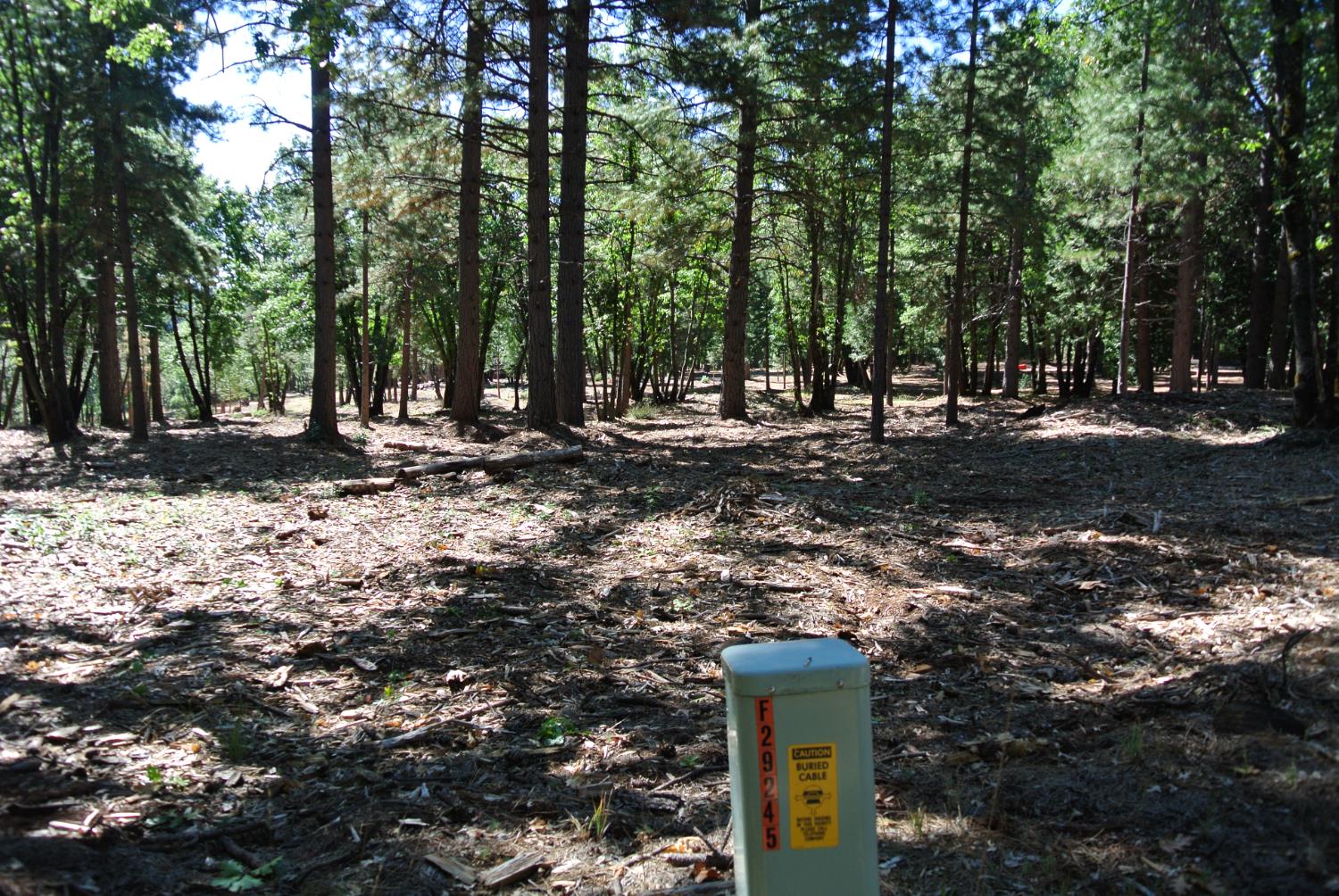 29 Ridge View Road Foresthill, CA 95631 - Photo 16 of 33