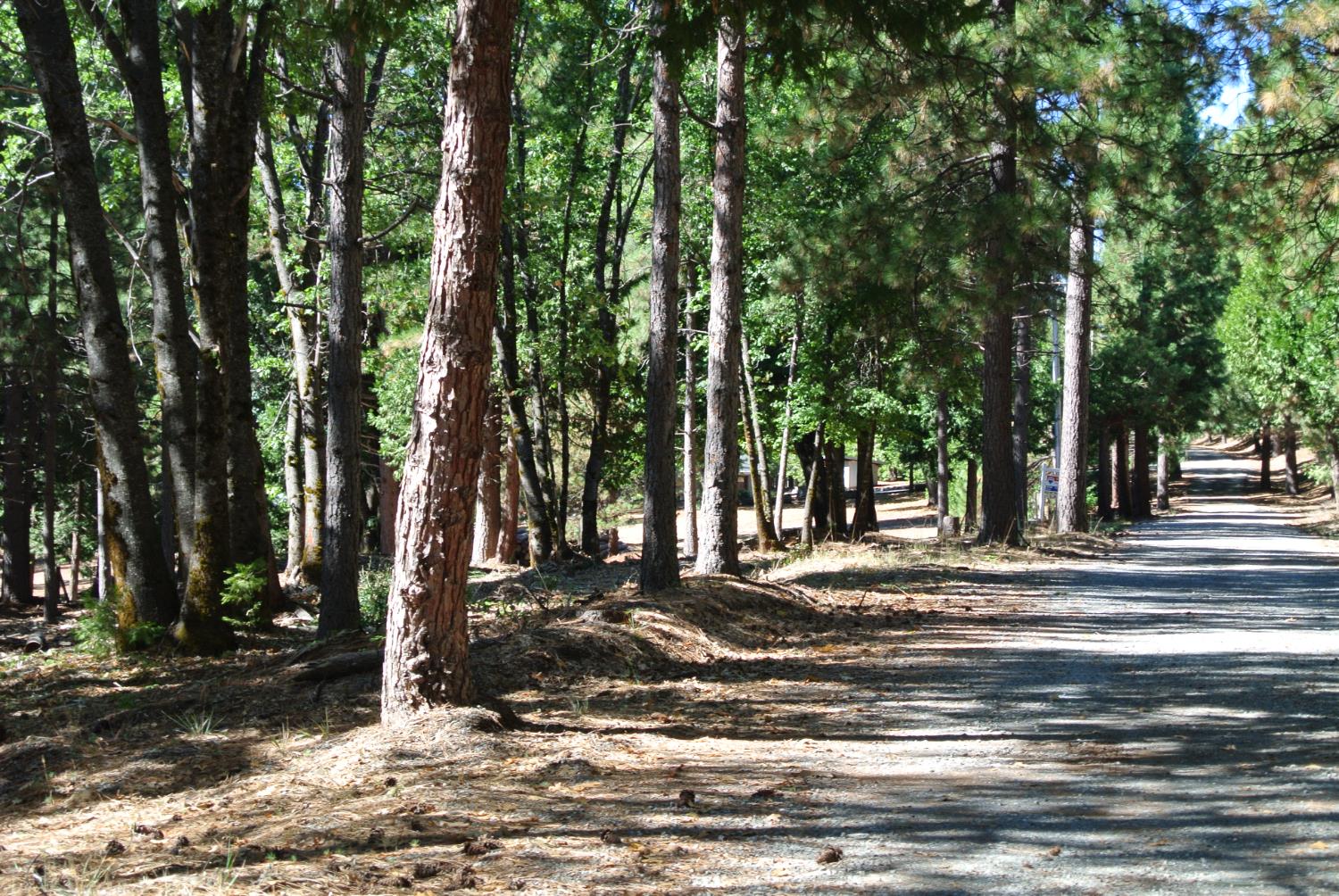 29 Ridge View Road Foresthill, CA 95631 - Photo 19 of 33