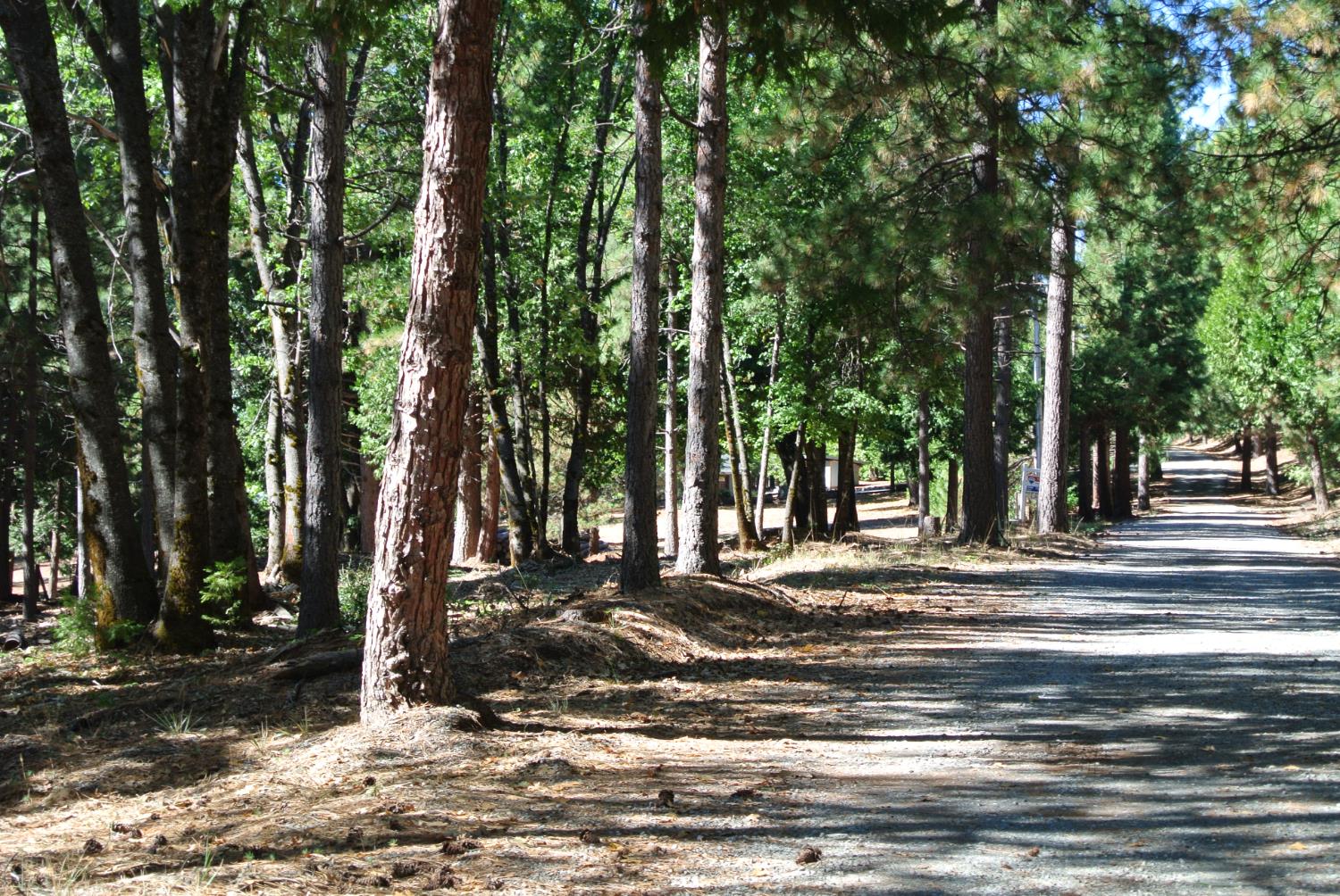 29 Ridge View Road Foresthill, CA 95631 - Photo 20 of 33