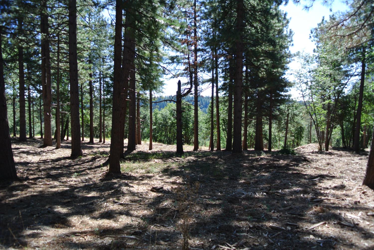 29 Ridge View Road Foresthill, CA 95631 - Photo 2 of 33