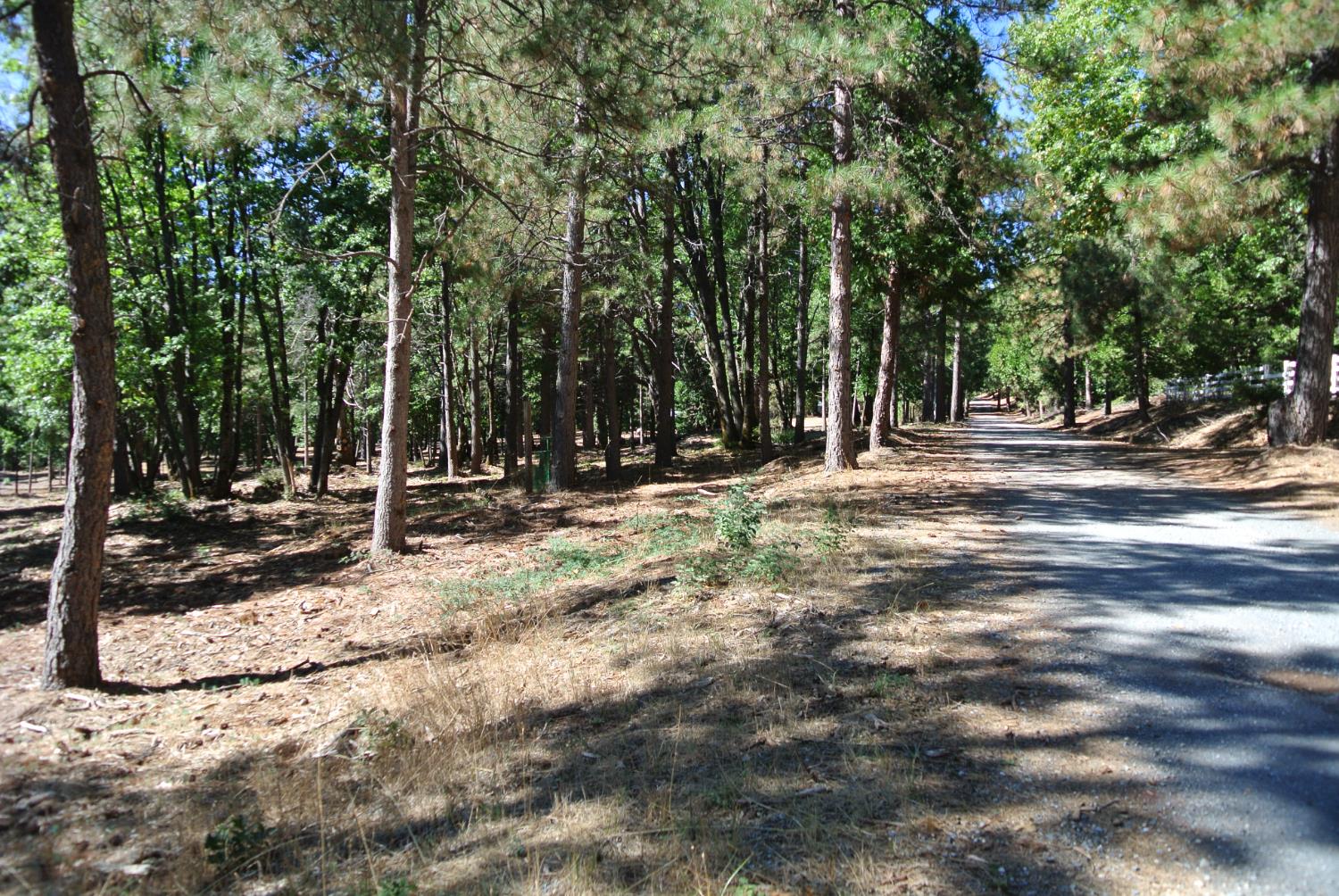 29 Ridge View Road Foresthill, CA 95631 - Photo 21 of 33