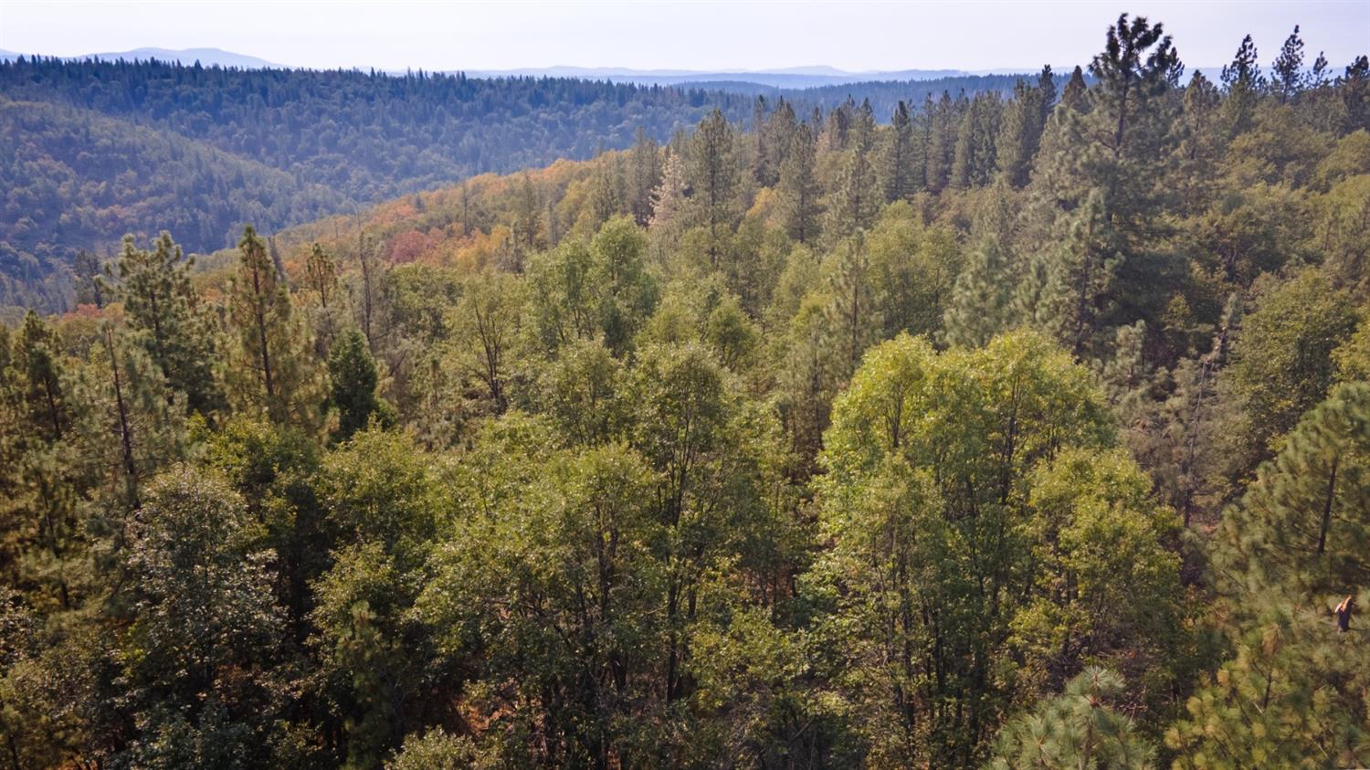 29 Ridge View Road Foresthill, CA 95631 - Photo 27 of 33