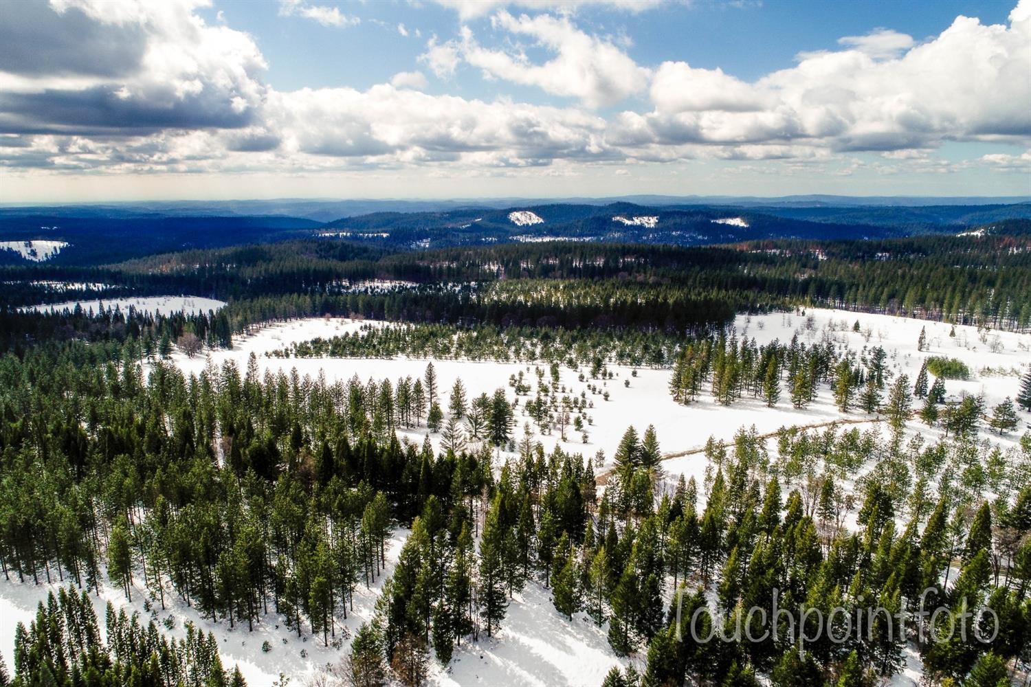 29 Ridge View Road Foresthill, CA 95631 - Photo 29 of 33