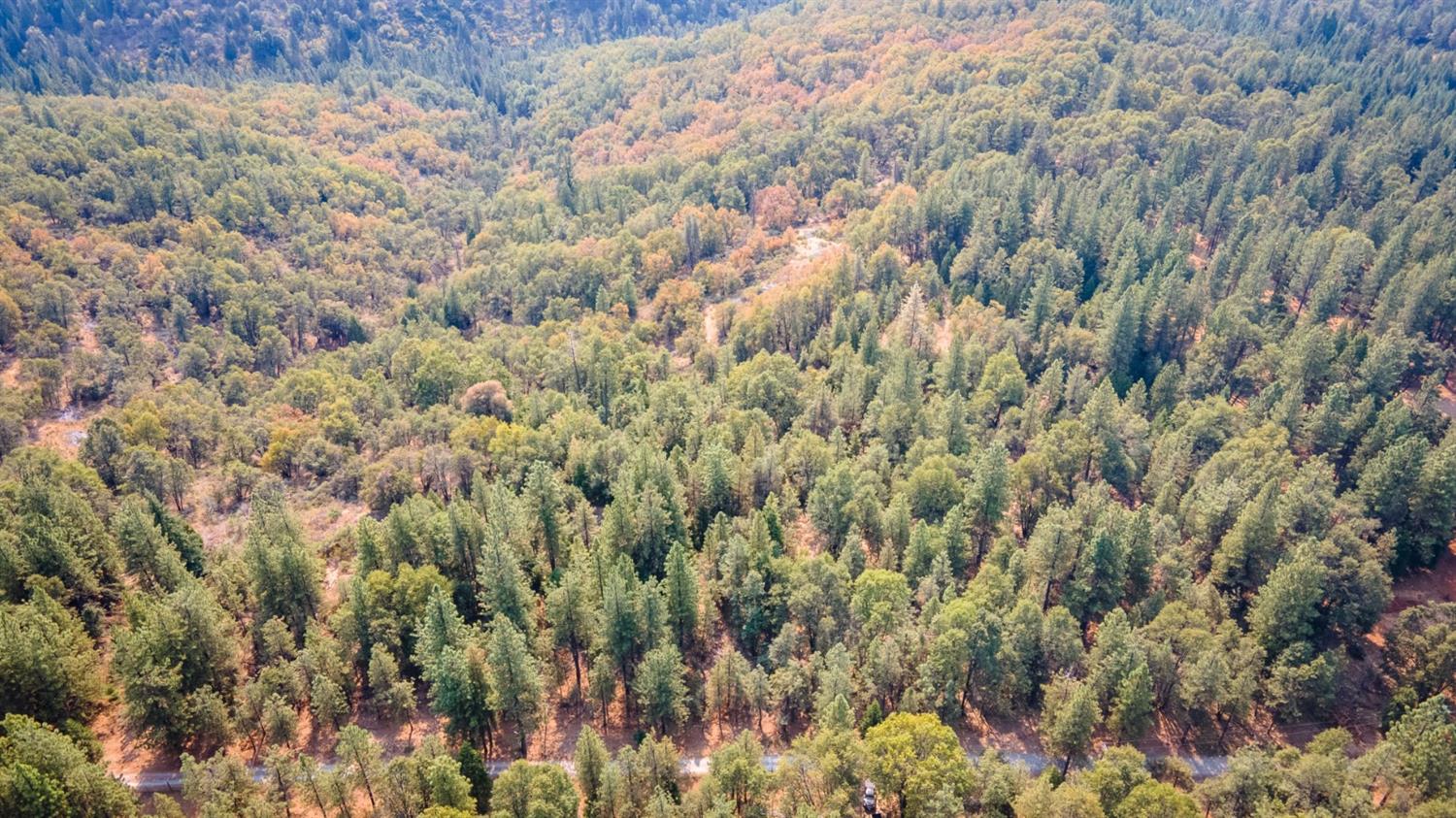 29 Ridge View Road Foresthill, CA 95631 - Photo 31 of 33