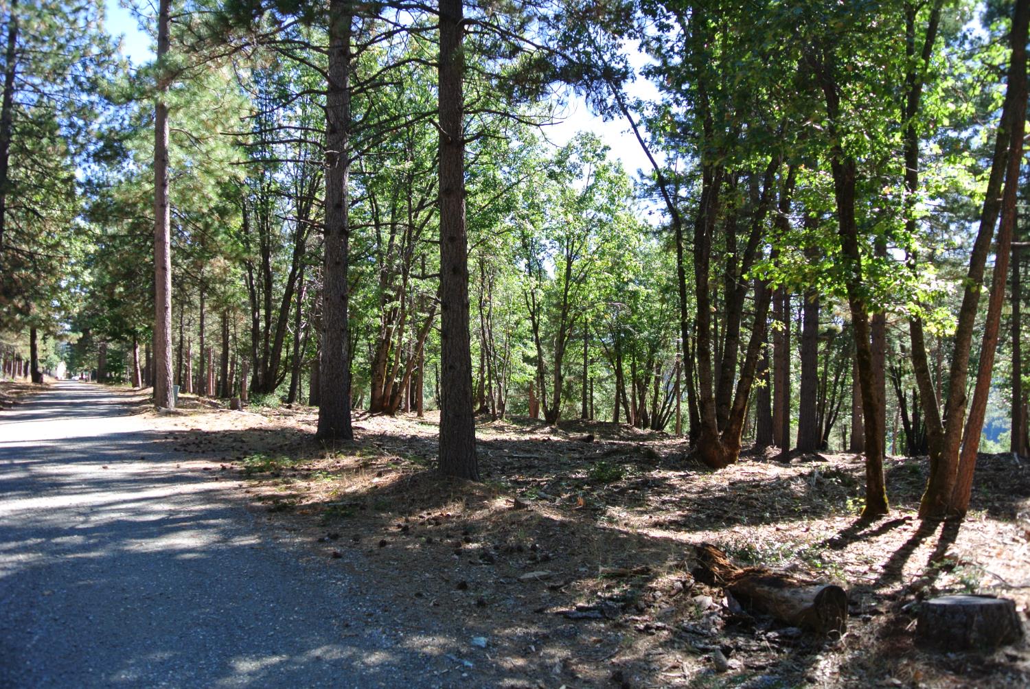 29 Ridge View Road Foresthill, CA 95631 - Photo 6 of 33