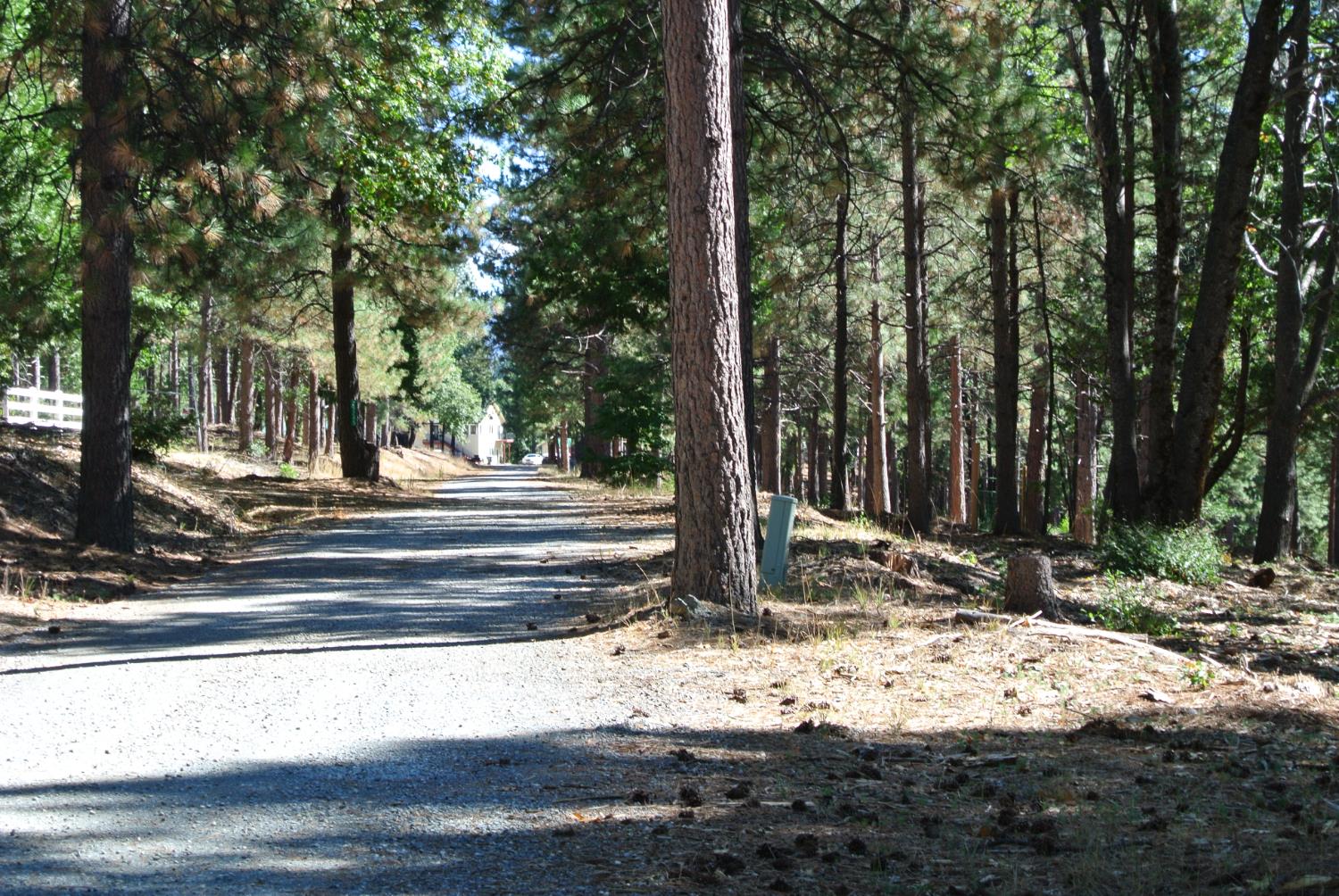 29 Ridge View Road Foresthill, CA 95631 - Photo 10 of 33