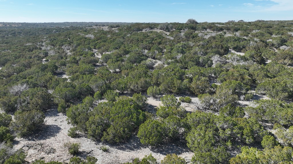 20120 Other Rocksprings, TX 78880 - Photo 7 of 22 an aerial view of forest