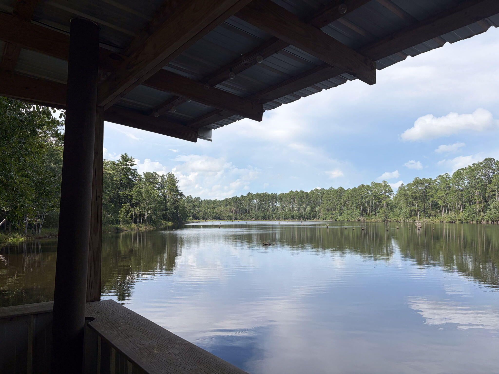 82 Acres 4 Flags Road Laurel Hill, FL 32567 - Photo 1 of 45 32-web-or-mls-IMG_1832