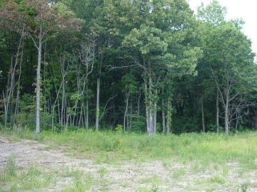 - Robb Road Kinmundy, IL 62854 - Photo 2 of 2