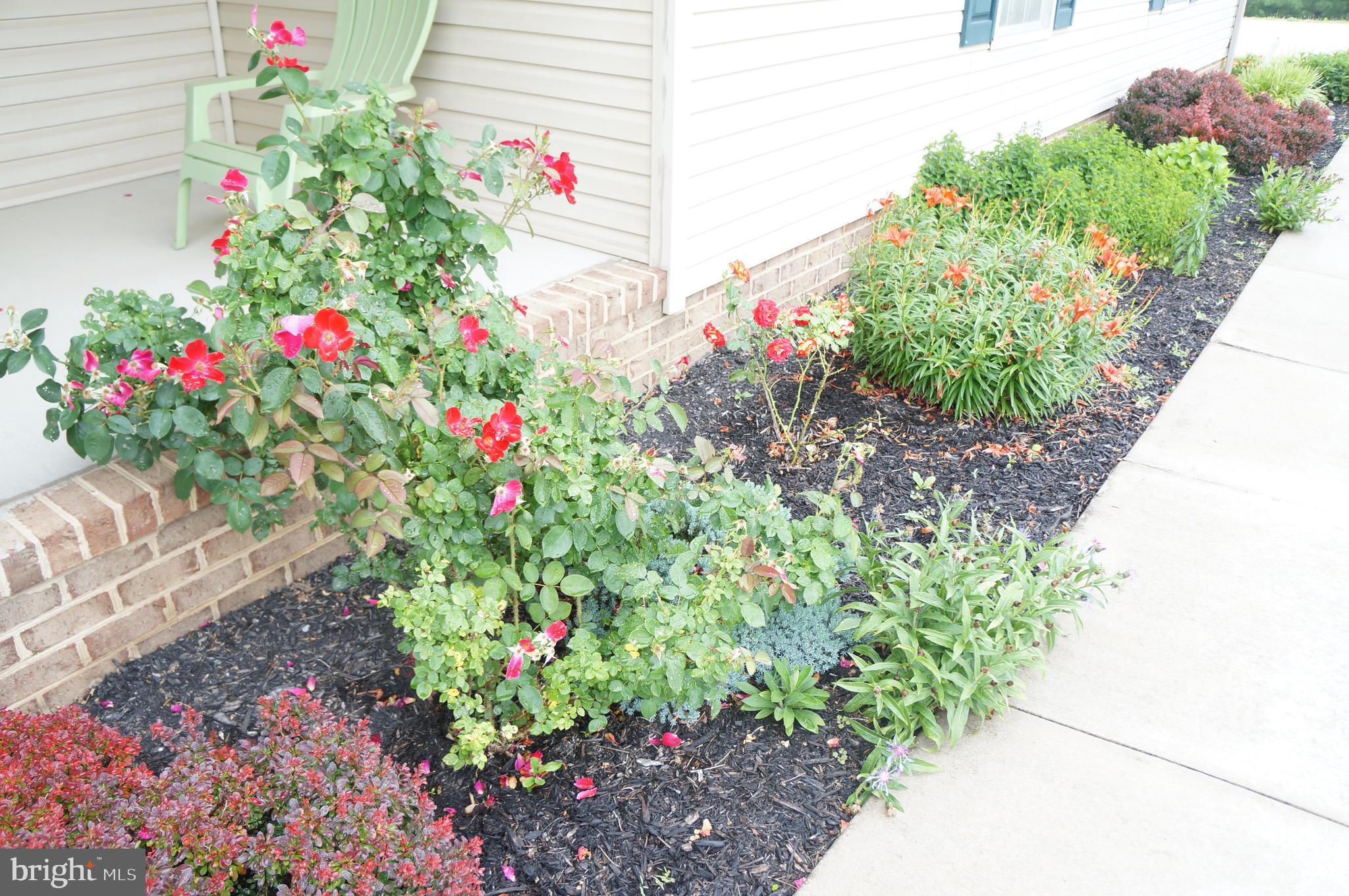 149 Timber Lane Hanover, PA 17331 - Photo 55 of 57 Gallery Image 55