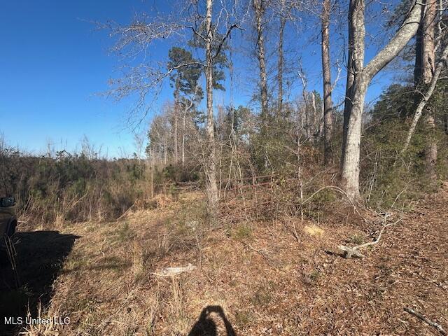 Jones Road Summit, MS 39666 - Photo 16 of 17 IMG_2874