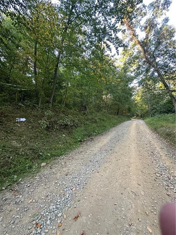 Lot 11 Sarah Furnace Road Rimersburg, PA 16248 - Photo 11 of 20 a view of a dry yard with trees in the background