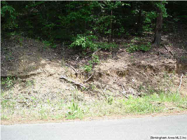 7595 McCombs Mill Road Pinson, AL 35126 - Photo 1 of 3