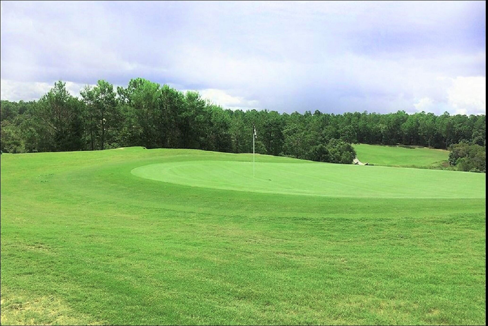 3204 Layla Loop Crestview, FL 32539 - Photo 28 of 30 Nearby Blackstone golf course